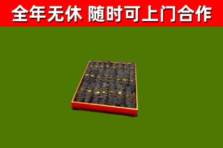 兴山区回收海参